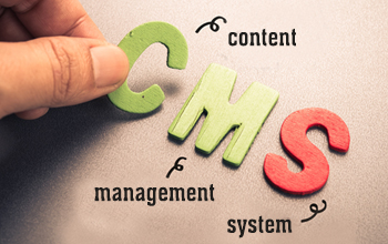 Build CMS - Net Connekt Doha