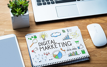 Seo professional - Net Connekt Doha